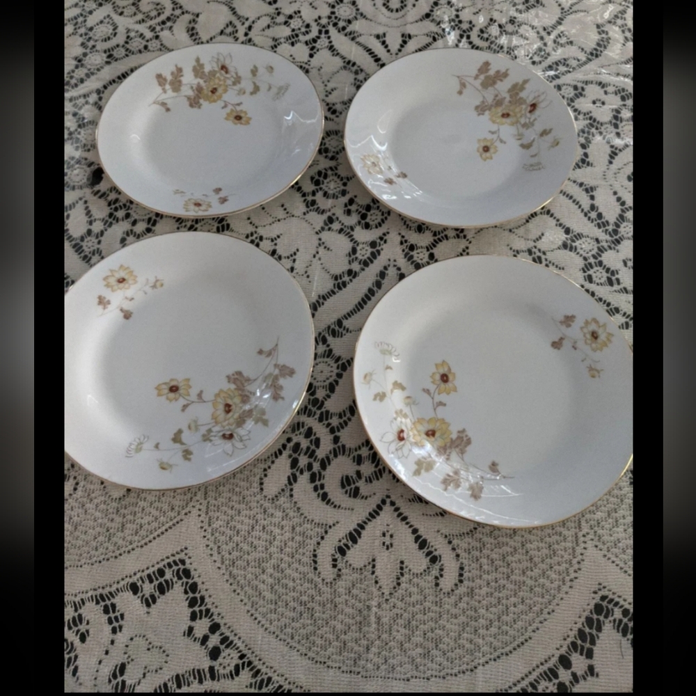 Vintage Retro Floral Saucers Bowls Decor Gift Fine China Collection